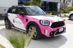 New Mini Platinum Driving Course